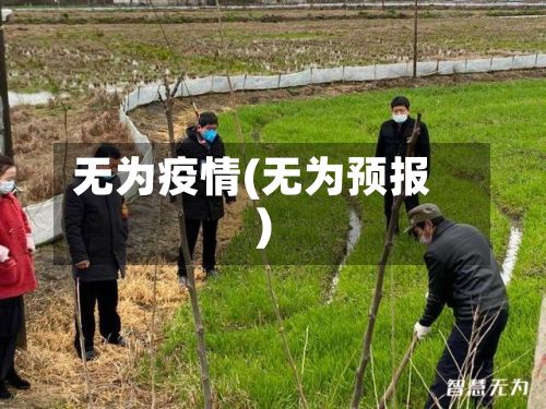 无为疫情(无为预报)-第2张图片