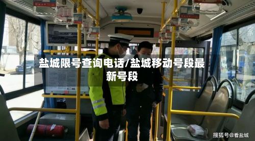 盐城限号查询电话/盐城移动号段最新号段-第3张图片