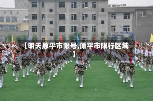 【明天原平市限号,原平市限行区域】-第2张图片