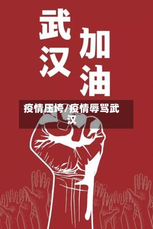 疫情压垮/疫情辱骂武汉-第3张图片