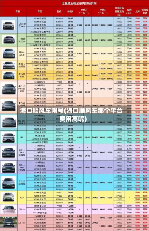 海口顺风车限号(海口顺风车那个平台费用高呢)