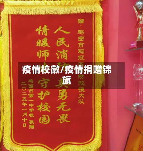 疫情校徽/疫情捐赠锦旗