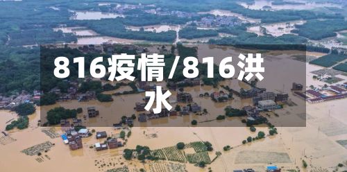 816疫情/816洪水-第2张图片