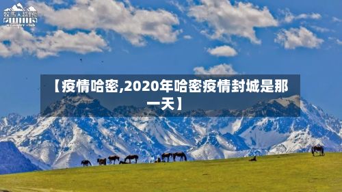 【疫情哈密,2020年哈密疫情封城是那一天】-第3张图片
