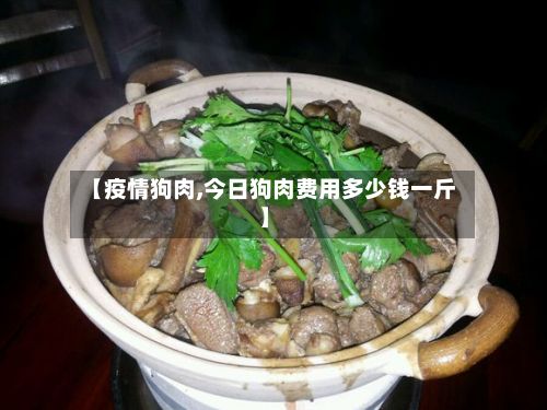 【疫情狗肉,今日狗肉费用多少钱一斤】