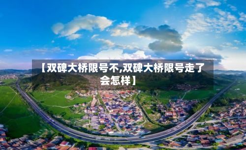 【双碑大桥限号不,双碑大桥限号走了会怎样】-第3张图片