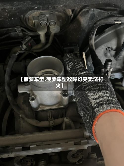 【菠萝车型,菠萝车型故障灯亮无法打火】