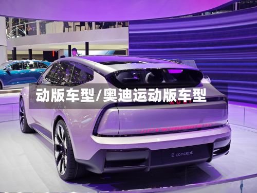 动版车型/奥迪运动版车型