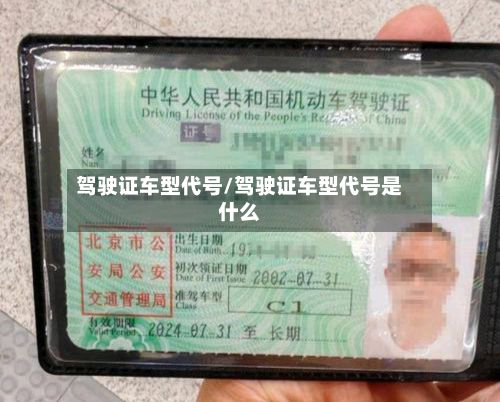 驾驶证车型代号/驾驶证车型代号是什么