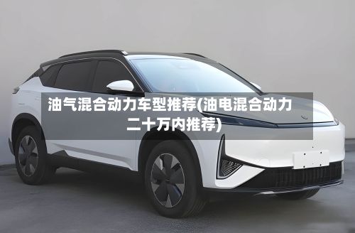 油气混合动力车型推荐(油电混合动力二十万内推荐)