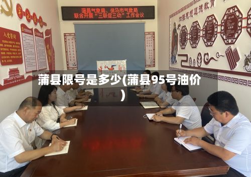 蒲县限号是多少(蒲县95号油价)