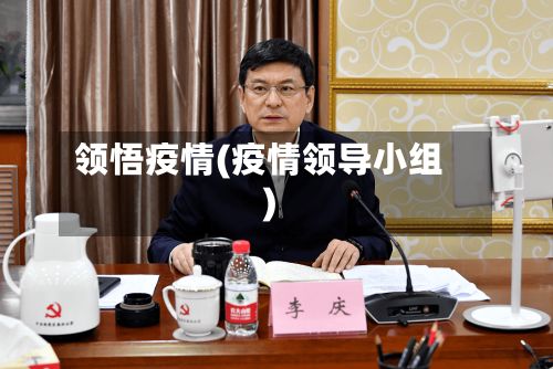 领悟疫情(疫情领导小组)