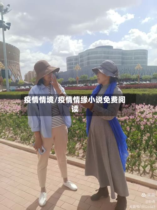 疫情情境/疫情情缘小说免费阅读