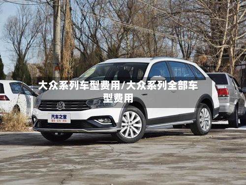 大众系列车型费用/大众系列全部车型费用-第3张图片