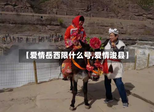 【爱情岳西限什么号,爱情浚县】-第2张图片