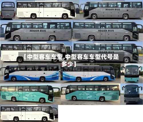 【中型客车车型,中型客车车型代号是多少】