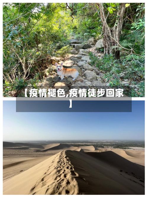 【疫情褪色,疫情徒步回家】-第2张图片