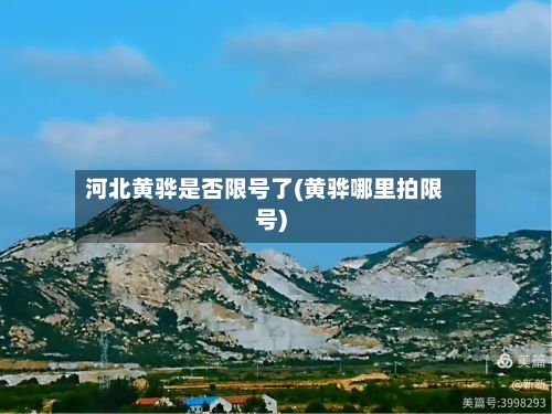 河北黄骅是否限号了(黄骅哪里拍限号)