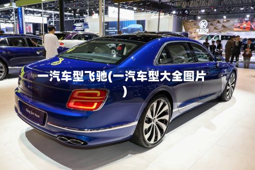 一汽车型飞驰(一汽车型大全图片)