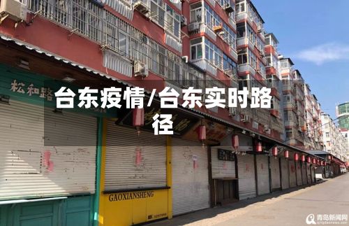 台东疫情/台东实时路径-第2张图片
