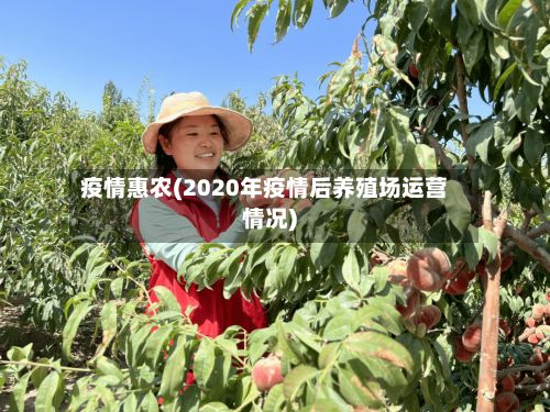 疫情惠农(2020年疫情后养殖场运营情况)-第2张图片