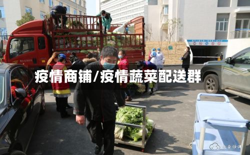 疫情商铺/疫情蔬菜配送群
