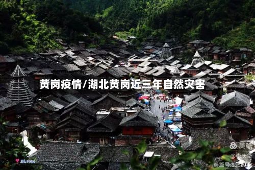 黄岗疫情/湖北黄岗近三年自然灾害-第2张图片