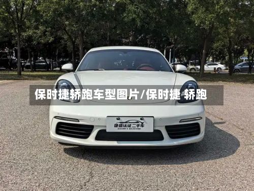 保时捷轿跑车型图片/保时捷 轿跑