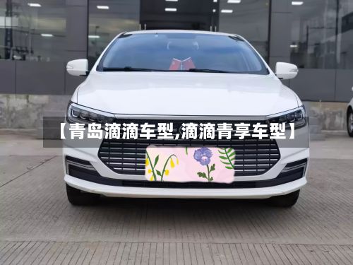 【青岛滴滴车型,滴滴青享车型】-第2张图片
