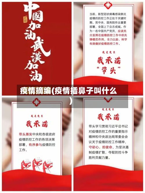 疫情摘编(疫情插鼻子叫什么)-第3张图片