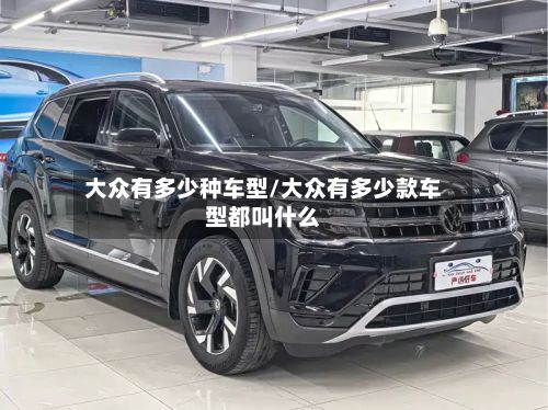 大众有多少种车型/大众有多少款车型都叫什么-第2张图片