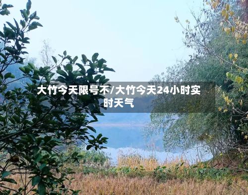 大竹今天限号不/大竹今天24小时实时天气-第3张图片