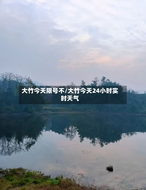 大竹今天限号不/大竹今天24小时实时天气