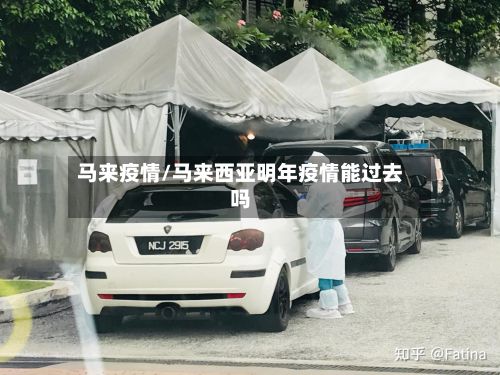 马来疫情/马来西亚明年疫情能过去吗