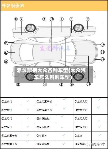 怎么辨别大众各种车型(大众汽车怎么辨别车型)