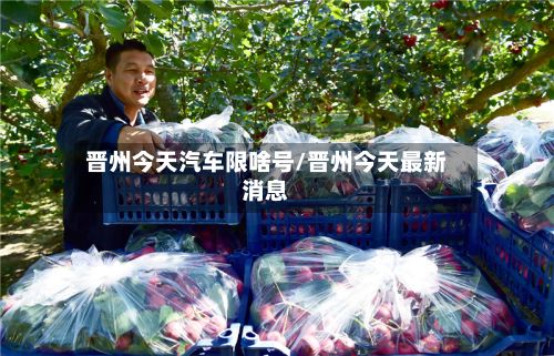 晋州今天汽车限啥号/晋州今天最新消息