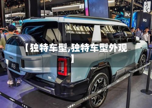 【独特车型,独特车型外观】