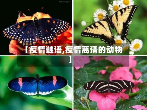 【疫情谜语,疫情离谱的动物】