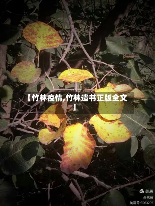 【竹林疫情,竹林遗书正版全文】