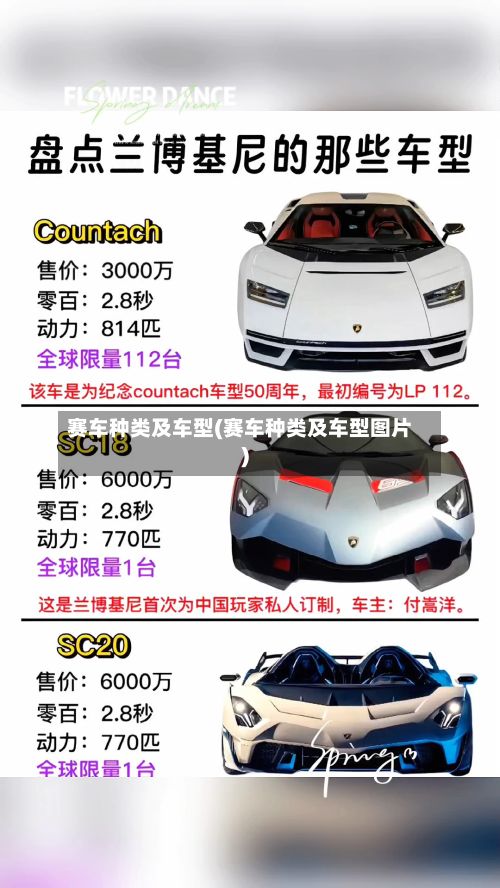 赛车种类及车型(赛车种类及车型图片)