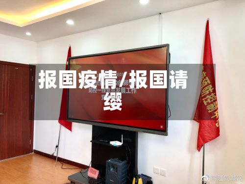 报国疫情/报国请缨