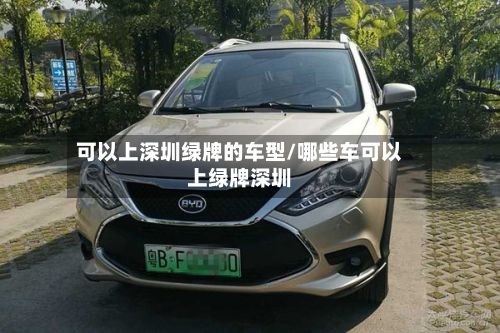 可以上深圳绿牌的车型/哪些车可以上绿牌深圳-第2张图片