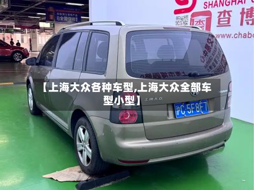 【上海大众各种车型,上海大众全部车型小型】-第3张图片