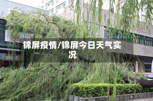 锦屏疫情/锦屏今日天气实况
