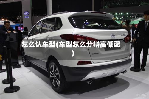 怎么认车型(车型怎么分辨高低配)-第2张图片