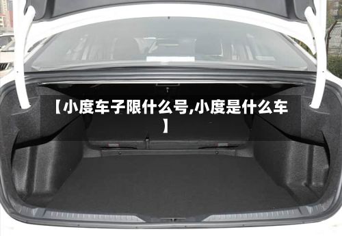 【小度车子限什么号,小度是什么车】