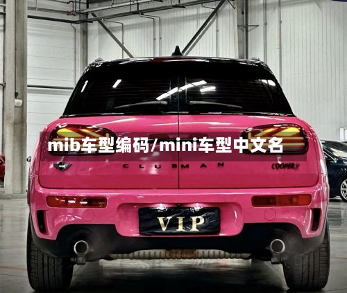 mib车型编码/mini车型中文名-第3张图片