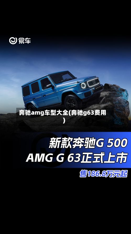 奔驰amg车型大全(奔驰g63费用)