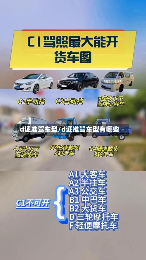 d证准驾车型/d证准驾车型有哪些-第2张图片