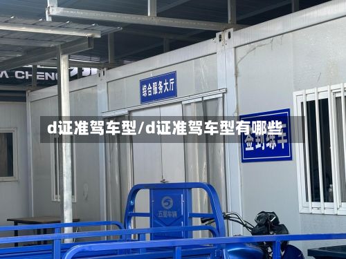 d证准驾车型/d证准驾车型有哪些